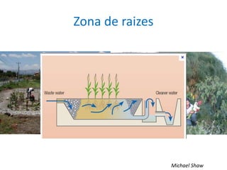 Zona de raizes
Michael Shaw
 