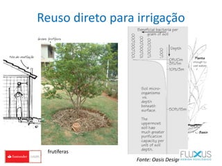 Reuso direto para irrigação
frutíferas
bananeiras
Fonte: Oasis Design
 