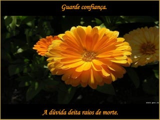 Guarde confiança. A dúvida deita raios de morte. 