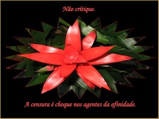 Não critique. A censura é choque nos agentes da afinidade. 