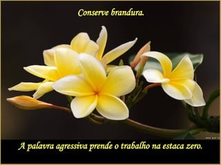 Conserve brandura. A palavra agressiva prende o trabalho na estaca zero. 