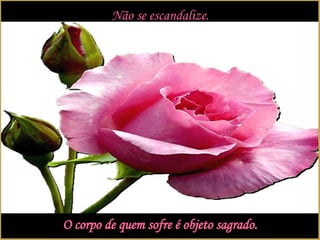 Não se escandalize. O corpo de quem sofre é objeto sagrado. 
