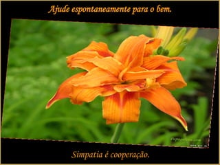 Ajude espontaneamente para o bem. Simpatia é cooperação. 