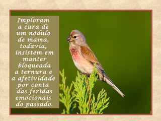 Imploram
  a cura de
 um nódulo
  de mama,
   todavia,
 insistem em
    manter
  bloqueada
 a ternura e
a afetividade
  por conta
  das feridas
 emocionais
 do passado.
 