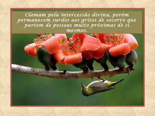 Clamam pela intercessão divina, porém
permanecem surdos aos gritos de socorro que
  partem de pessoas muito próximas de si
                 mesmos.
 