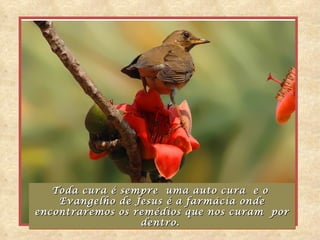 Toda cura é sempre uma auto cura e o
    Evangelho de Jesus é a farmácia onde
encontraremos os remédios que nos curam por
                  dentro.
 