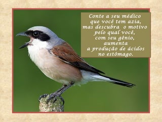 Conte a seu médico
  que você tem azia,
mas descubra o motivo
    pelo qual você,
    com seu gênio,
       aumenta
 a produção de ácidos
     no estômago.
 