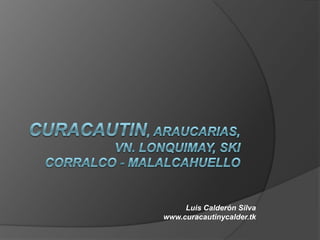 CURACAUTIN, araucarias, Vn. Lonquimay, skiCorralco - Malalcahuello Luis Calderón Silva www.curacautinycalder.tk 