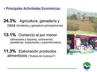 24.3%   Agricultura, ganadería y caza  (hortalizas y ganadería principalmente) 13.1%   Comercio al por menor   (almacenes y bazares, cordonerías,  pastelerías, restaurante y supermercados) 11.3%   Elaboración productos alimenticios  (“Dulces de Curacaví”) Principales Actividades Económicas: 