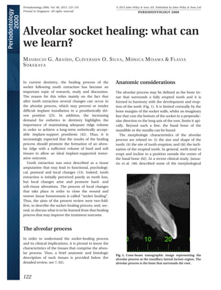 Alveolar socket healing: what can
we learn?
MAURICIO G. ARA 
UJO, CL 
EVERSON O. SILVA, M ^
ONICA MISAWA  FLAVIA
SUKEKAVA
In current dentistry, the healing process of the
socket following tooth extraction has become an
important topic of research, study and discussion.
The reason for this relies mainly on the fact that
after tooth extraction several changes can occur in
the alveolar process, which may prevent or render
difﬁcult implant installation in a prosthetically dri-
ven position (23). In addition, the increasing
demand for esthetics in dentistry highlights the
importance of maintaining adequate ridge volume
in order to achieve a long-term esthetically accept-
able implant-support prosthesis (42). Thus, it is
increasingly expected that the results of the healing
process should promote the formation of an alveo-
lar ridge with a sufﬁcient volume of hard and soft
tissues to allow an ideal implant-supported restor-
ative outcome.
Tooth extraction was once described as a tissue
amputation that may lead to functional, psychologi-
cal, postural and local changes (14). Indeed, tooth
extraction is initially perceived purely as tooth loss,
but local changes arise and promote hard- and
soft-tissue alterations. The process of local changes
that take place in order to close the wound and
restore tissue homeostasis is called “socket healing”.
Thus, the aims of the present review were two-fold:
ﬁrst, to describe the socket-healing process; and, sec-
ond, to discuss what is to be learned from that healing
process that may improve the treatment outcome.
The alveolar process
In order to understand the socket-healing process
and its clinical implications, it is pivotal to know the
characteristics of the tissues that comprise the alveo-
lar process. Thus, a brief anatomic and histologic
description of such tissues is provided below (for
detailed review, see 7, 65).
Anatomic considerations
The alveolar process may be deﬁned as the bone tis-
sue that surrounds a fully erupted tooth and it is
formed in harmony with the development and erup-
tion of the teeth (Fig. 1). It is limited coronally by the
bone margins of the socket walls, whilst an imaginary
line that cuts the bottom of the socket in a perpendic-
ular direction to the long axis of the root, limits it api-
cally. Beyond such a line, the basal bone of the
mandible or the maxilla can be found.
The morphologic characteristics of the alveolar
process are related to: (i) the size and shape of the
tooth; (ii) the site of tooth eruption; and (iii) the incli-
nation of the erupted tooth. In general, teeth tend to
erupt and incline to a position outside the center of
the basal bone (62). In a recent clinical study, Janua-
rio et al. (46) described some of the morphological
Fig. 1. Cone-beam tomographic image representing the
alveolar process at the maxillary lateral incisor region. The
alveolar process is the bone that surrounds the root.
122
Periodontology 2000, Vol. 68, 2015, 122–134 © 2015 John Wiley  Sons A/S. Published by John Wiley  Sons Ltd
Printed in Singapore. All rights reserved PERIODONTOLOGY 2000
 