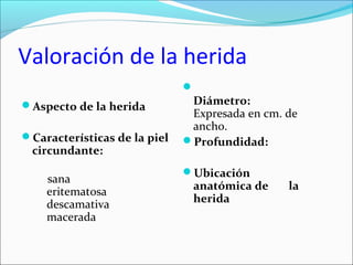Valoración de la herida 
Aspecto de la herida 
Características de la piel 
circundante: 
sana 
eritematosa 
descamativa 
macerada 
 
Diámetro: 
Expresada en cm. de 
ancho. 
Profundidad: 
Ubicación 
anatómica de la 
herida 
 
