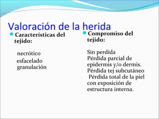 Valoración de la herida 
Características del 
tejido: 
necrótico 
esfacelado 
granulación 
Compromiso del 
tejido: 
Sin perdida 
Pérdida parcial de 
epidermis y/o dermis. 
Pérdida tej subcutáneo 
Pérdida total de la piel 
con exposición de 
estructura interna. 
 