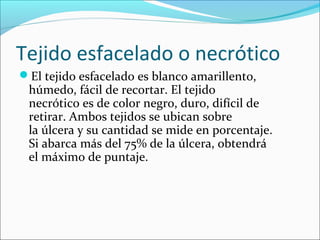 Tejido esfacelado o necrótico 
El tejido esfacelado es blanco amarillento, 
húmedo, fácil de recortar. El tejido 
necrótico es de color negro, duro, difícil de 
retirar. Ambos tejidos se ubican sobre 
la úlcera y su cantidad se mide en porcentaje. 
Si abarca más del 75% de la úlcera, obtendrá 
el máximo de puntaje. 
 