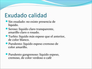 Exudado calidad 
Sin exudado: no existe presencia de 
líquido. 
Seroso: líquido claro transparente, 
amarillo claro o rosado. 
Turbio: líquido más espeso que el anterior, 
de color blanco. 
Purulento: líquido espeso cremoso de 
color amarillo. 
Purulento gangrenoso: líquido espeso, 
cremoso, de color verdoso o café 
 