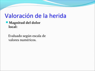 Valoración de la herida 
Magnitud del dolor 
local: 
Evaluado según escala de 
valores numéricos. 
 