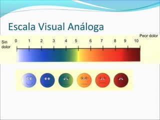 Escala Visual Análoga 
0 1 2 3 4 Sin 5 6 7 8 9 10 
dolor 
Peor dolor 
 