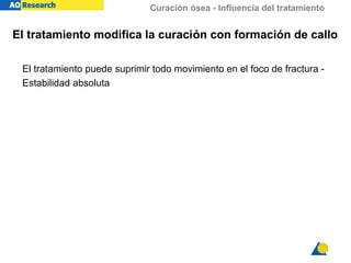 Curación ósea - Influencia del tratamiento
El tratamiento modifica la curación con formación de callo
El tratamiento puede suprimir todo movimiento en el foco de fractura -
Estabilidad absoluta
 