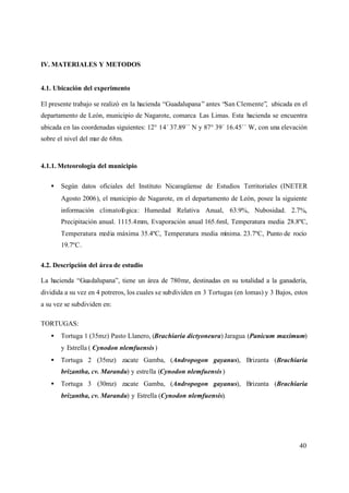 40
IV. MATERIALES Y METODOS
4.1. Ubicación del experimento
El presente trabajo se realizó en la hacienda “Guadalupana” antes “San Clemente”, ubicada en el
departamento de León, municipio de Nagarote, comarca Las Limas. Esta hacienda se encuentra
ubicada en las coordenadas siguientes: 12° 14´ 37.89´´ N y 87° 39´ 16.45´´ W, con una elevación
sobre el nivel del mar de 68m.
4.1.1. Meteorología del municipio
• Según datos oficiales del Instituto Nicaragüense de Estudios Territoriales (INETER
Agosto 2006), el municipio de Nagarote, en el departamento de León, posee la siguiente
información climatológica: Humedad Relativa Anual, 63.9%, Nubosidad. 2.7%,
Precipitación anual. 1115.4mm, Evaporación anual 165.6ml, Temperatura media 28.8ºC,
Temperatura media máxima 35.4ºC, Temperatura media mínima. 23.7ºC, Punto de rocío
19.7ºC.
4.2. Descripción del área de estudio
La hacienda “Guadalupana”, tiene un área de 780mz, destinadas en su totalidad a la ganadería,
dividida a su vez en 4 potreros, los cuales se subdividen en 3 Tortugas (en lomas) y 3 Bajos, estos
a su vez se subdividen en:
TORTUGAS:
• Tortuga 1 (35mz) Pasto Llanero, (Brachiaria dictyoneura) Jaragua (Panicum maximum)
y Estrella ( Cynodon nlemfuensis)
• Tortuga 2 (35mz) zacate Gamba, (Andropogon gayanus), Brizanta (Brachiaria
brizantha, cv. Marandu) y estrella (Cynodon nlemfuensis)
• Tortuga 3 (30mz) zacate Gamba, (Andropogon gayanus), Brizanta (Brachiaria
brizantha, cv. Marandu) y Estrella (Cynodon nlemfuensis).
 