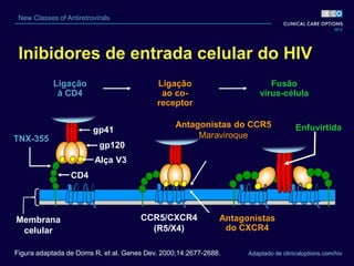 Adaptado de clinicaloptions.com/hiv
New Classes of Antiretrovirals
Inibidores de entrada celular do HIV
Fusão
vírus-célula
gp41
gp120
Alça V3
Ligação
à CD4
CD4
Membrana
celular
Ligação
ao co-
receptor
CCR5/CXCR4
(R5/X4)
Antagonistas do CCR5
Maraviroque
Enfuvirtida
TNX-355
Antagonistas
do CXCR4
Figura adaptada de Doms R, et al. Genes Dev. 2000;14:2677-2688.
 