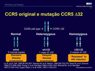 clinicaloptions.com/hiv
HIV Entry and Tropism
CCR5 wild type   CCR5 32
2 normal copies 1 copy of 32 2 copies of 32
wt/wt wt/ 32 32/ 32
Standard
disease
progression
Delayed
disease
progression
“Resistant” to
HIV infection
Normal Heterozygous Homozygous
CCR5 original e mutação CCR5 32
Liu R, et al. Cell. 1996;86:367-367. Samson M, et al. Nature. 1996;382:722-725. Dean M, et al. Science.
1996;273:1856-1862. Huang Y, et al. Nat Med.1996;2:1240-1243. Michael NL, et al. Nat Med.
1997;3:1160-1162. Eugen-Olsen J, et al. AIDS. 1997;11:305-310.
 