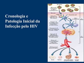 Cronologia e
Patologia Inicial da
Infecção pelo HIV
 