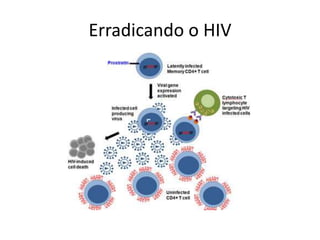 Erradicando o HIV
 