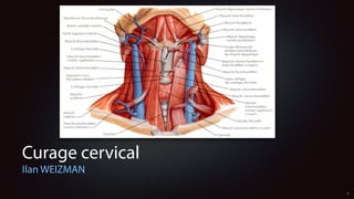 Curage cervical
Ilan WEIZMAN
1
 