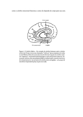 como o cérebro emocional funciona e como ele depende do corpo para sua cura.
 