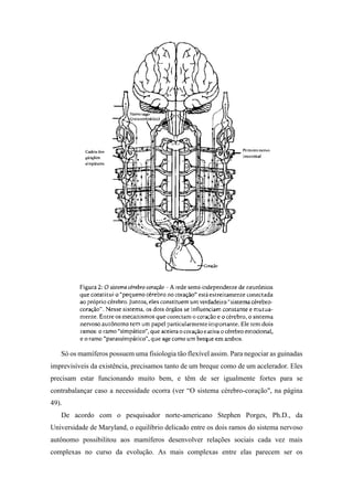 Só os mamíferos possuem uma fisiologia tão flexível assim. Para negociar as guinadas
imprevisíveis da existência, precisamos tanto de um breque como de um acelerador. Eles
precisam estar funcionando muito bem, e têm de ser igualmente fortes para se
contrabalançar caso a necessidade ocorra (ver “O sistema cérebro-coração", na página
49).
De acordo com o pesquisador norte-americano Stephen Porges, Ph.D., da
Universidade de Maryland, o equilíbrio delicado entre os dois ramos do sistema nervoso
autônomo possibilitou aos mamíferos desenvolver relações sociais cada vez mais
complexas no curso da evolução. As mais complexas entre elas parecem ser os
 
