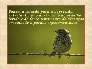 Pedem a solução para a depressão,  entretanto, não abrem mão do orgulho  ferido e do forte sentimento de decepção em relação a perdas experimentadas.. 