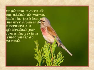 Imploram a cura de  um nódulo de mama,  todavia, insistem em manter bloqueada a ternura e a  afetividade por  conta das feridas emocionais do  passado. 