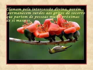 Clamam pela intercessão divina, porém permanecem surdos aos gritos de socorro que partem de pessoas muito   próximas  de si mesmos. 