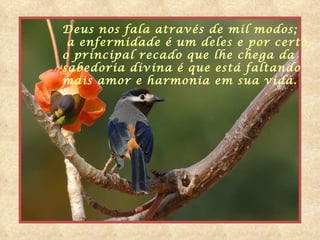 Deus nos fala através de mil modos; a enfermidade é um deles e por certo, o principal recado que lhe chega da  sabedoria divina é que está faltando  mais amor e harmonia em sua vida. 