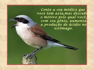 Conte a seu médico que  voce tem azia,mas descubra o motivo pelo qual você,  com seu gênio, aumenta a produção de ácidos no  estômago. 