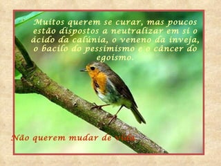 Muitos querem se curar, mas poucos  estão dispostos a neutralizar em si o  ácido da calúnia, o veneno da inveja,  o   bacilo do pessimismo e o câncer do  egoismo.  Não querem mudar de vida.   