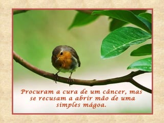 Procuram a cura de um câncer, mas se recusam a abrir mão de uma simples mágoa. 