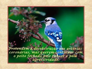 Pretendem a desobstrução das artérias  coronárias, mas querem continuar com o peito fechado pelo rancor e pela  agressividade. 