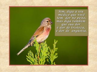 Sim, diga a seu
  médico que você
 tem dor no peito,
mas diga também
    que sua dor
é dor de tristeza,
é dor de angústia.
 