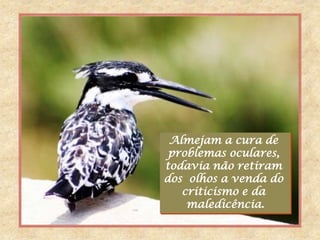 Almejam a cura de
 problemas oculares,
todavia não retiram
dos olhos a venda do
   criticismo e da
    maledicência.
 