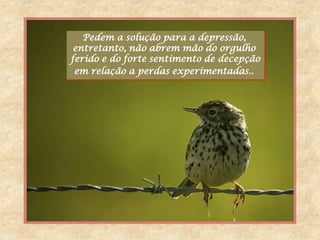 Pedem a solução para a depressão,
 entretanto, não abrem mão do orgulho
ferido e do forte sentimento de decepção
 em relação a perdas experimentadas..
 