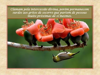 Clamam pela intercessão divina, porém permanecem
 surdos aos gritos de socorro que partem de pessoas
           muito próximas de si mesmos.
 