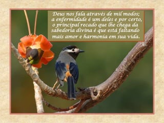Deus nos fala através de mil modos;
a enfermidade é um deles e por certo,
 o principal recado que lhe chega da
sabedoria divina é que está faltando
mais amor e harmonia em sua vida.
 