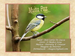 Autor - José Carlos De Lucca
     Livro - O Médico Jesus
  Musica – Eternity- E. Cotazar
      Imagens da Internet
Formatação – cmagoes@gmail.com
 