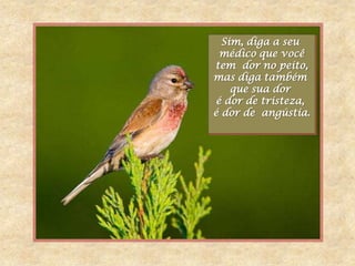 Sim, diga a seu
 médico que você
tem dor no peito,
mas diga também
    que sua dor
é dor de tristeza,
é dor de angústia.
 