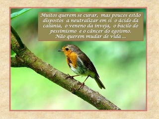 Muitos querem se curar, mas poucos estão
dispostos a neutralizar em si o ácido da
calúnia, o veneno da inveja, o bacilo do
   pessimismo e o câncer do egoísmo.
     Não querem mudar de vida ...
 