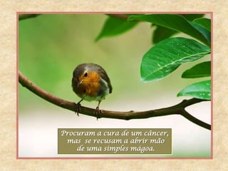 Procuram a cura de um câncer,
 mas se recusam a abrir mão
    de uma simples mágoa.
 