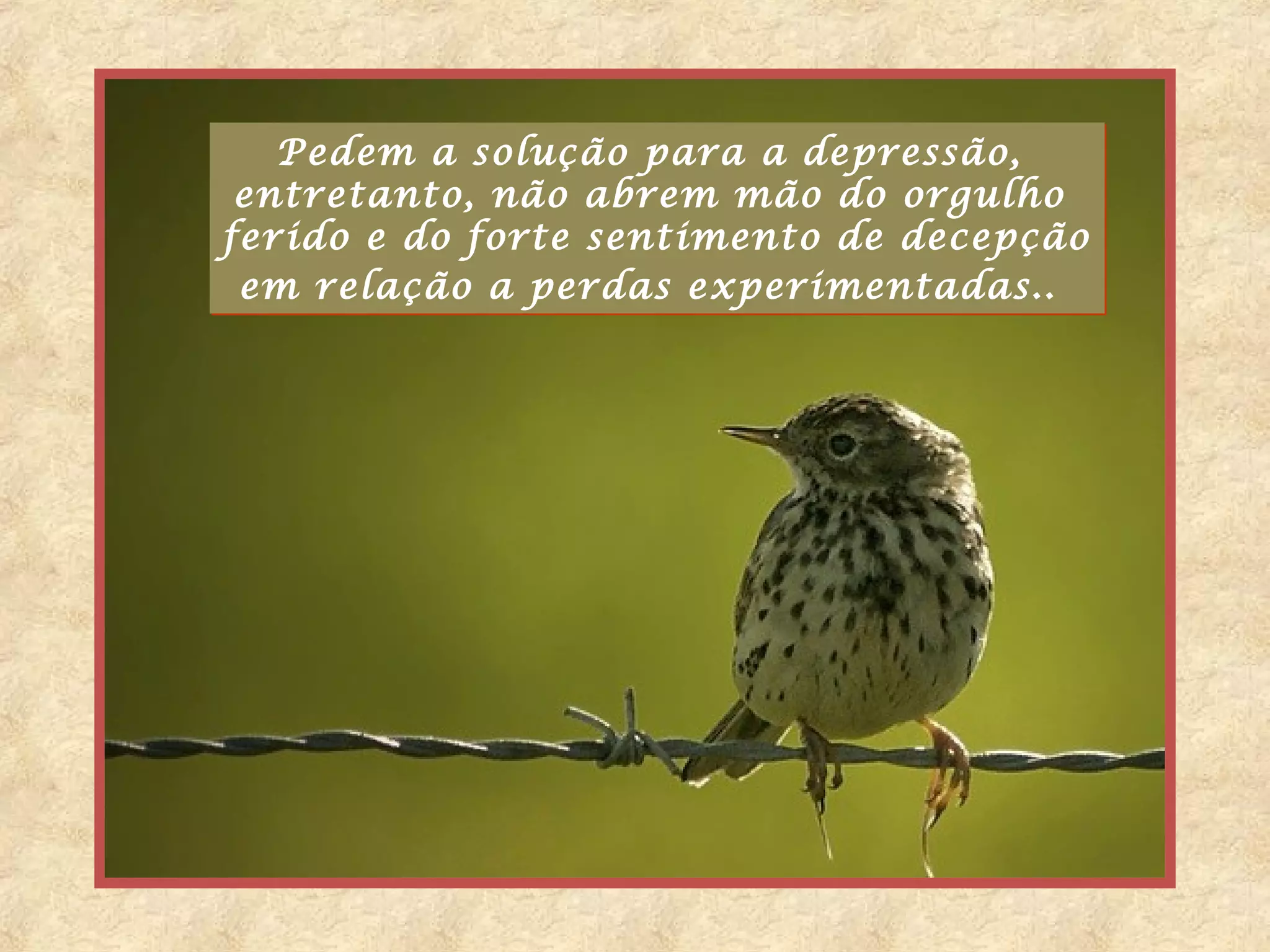 Pedem a solução para a depressão,
 entretanto, não abrem mão do orgulho
ferido e do forte sentimento de decepção
 em relação a perdas experimentadas..
 