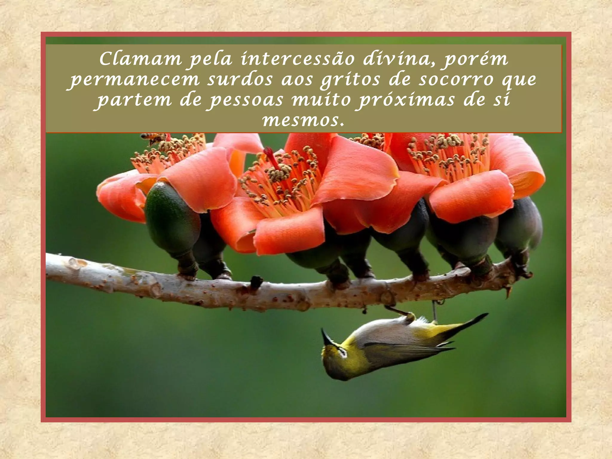 Clamam pela intercessão divina, porém
permanecem surdos aos gritos de socorro que
  partem de pessoas muito próximas de si
                 mesmos.
 
