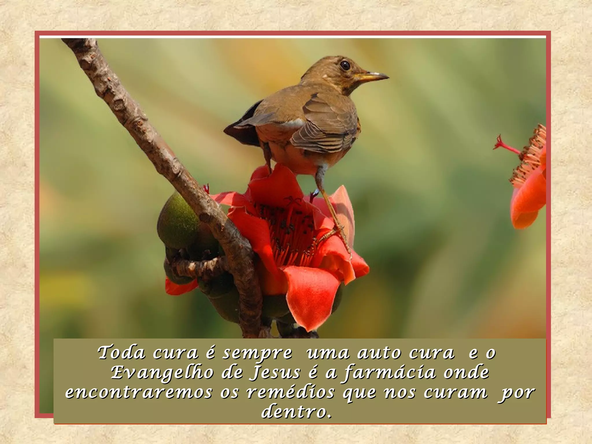 Toda cura é sempre uma auto cura e o
   Toda cura é sempre uma auto cura e o
    Evangelho de Jesus é a farmácia onde
    Evangelho de Jesus é a farmácia onde
encontraremos os remédios que nos curam por
encontraremos os remédios que nos curam por
                  dentro.
                   dentro.
 