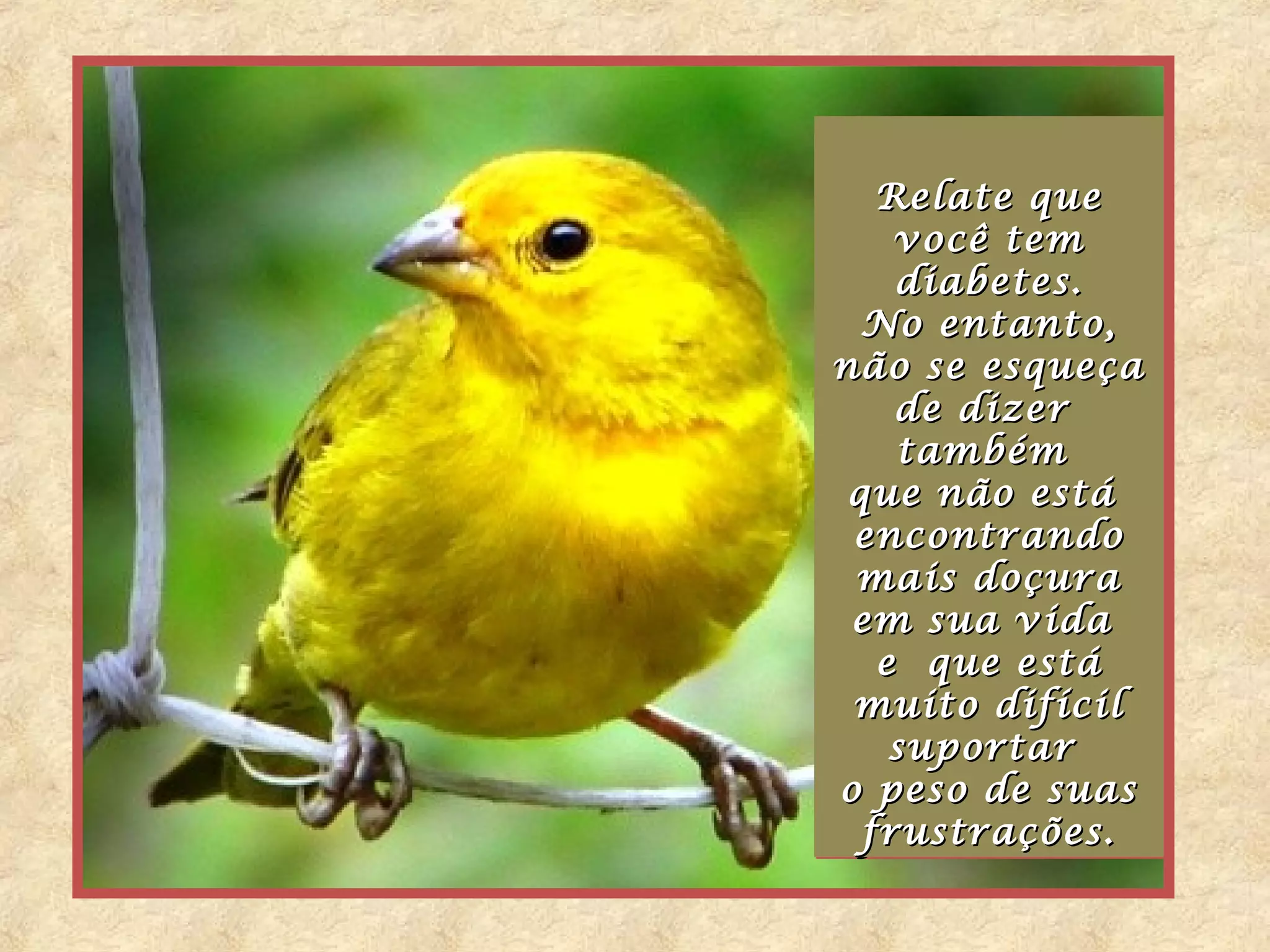 Relate que
   Relate que
    você tem
     você tem
    diabetes.
     diabetes.
  No entanto,
  No entanto,
não se esqueça
não se esqueça
    de dizer
     de dizer
    também
     também
 que não está
 que não está
 encontrando
 encontrando
 mais doçura
  mais doçura
 em sua vida
 em sua vida
   e que está
   e que está
 muito difícil
 muito difícil
    suportar
    suportar
o peso de suas
   peso de suas
  frustrações.
  frustrações.
 